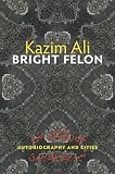 Bright Felon: Autobiography and Cities (Wesleyan Poetry Series)