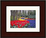 Picture Frame Mahogany .. 3.5'' wide