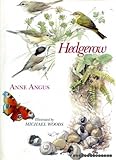 Hedgerow