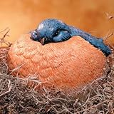 Evergreen - Portly Keykeeper - Barry The Bluebird