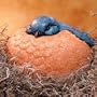 Evergreen - Portly Keykeeper - Barry The Bluebird