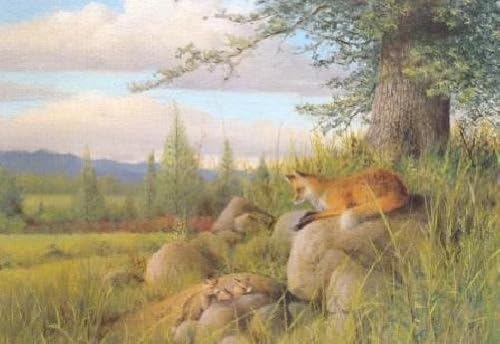 Owen Gromme - Red Fox and Kits Artis's Proof on Paper