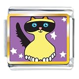 Birman Cat Photo Italian Charm