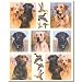 Labrador Retriever Dogs Self Stick Wall Accents