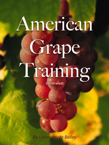 American Grape Training (Illustrated)