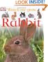 Rabbit (Watch Me Grow)