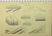 C1890 Geology Graduation Strata Granitic Rocks Slate