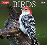 Birds 2010 Wall Calendar