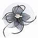 Fascinator on Hairclip for Women Mesh Feather Black
