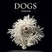 Fine Art Photography - Animals