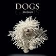 Dogs: Gods