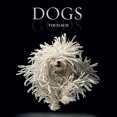 Dogs: Gods