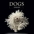 Dogs: Gods