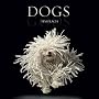 Dogs: Gods