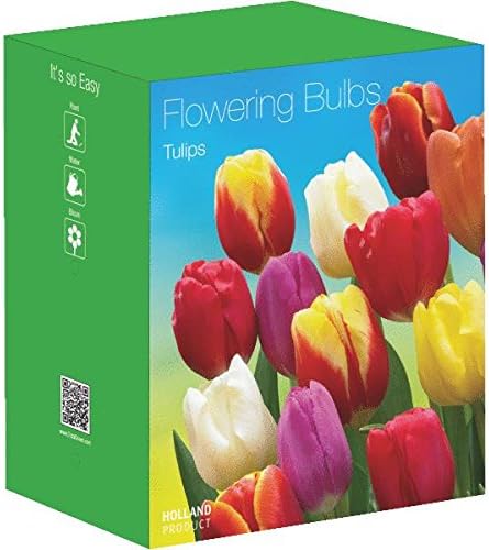 35 Pack Mixed Tulips 72405600