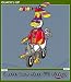 Quacked Up - Cars, Trucks, Planes, and Trains