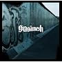Girug�mesh