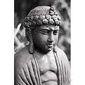 Buddha Watching Gallery Wrapped Canvas - 12x16"
