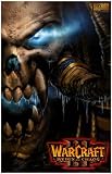Warcraft III - Reign of Chaos - Skeleton 11x17 Poster