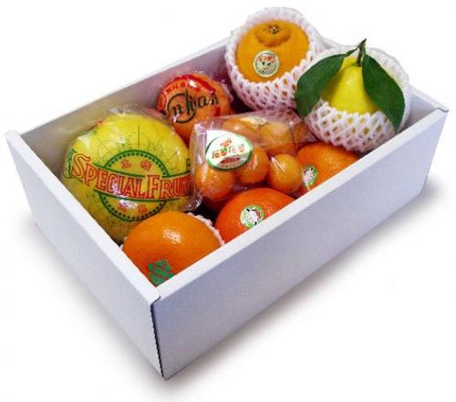 柑橘食べ比べbox/かんきつ8種入り