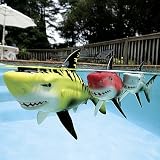 Rainbow Reef Battle Shark