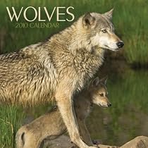 Wolves 2010 Wall Calendar