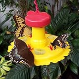 Songbird Essentials SE78200 Butterfly Feeder