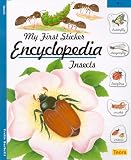 Insects (My First Sticker Encyclopedia)