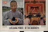 EXPLODING POWER OF THE BUDDHISTS: Charred heart of a monk who burned himself alive is the grisly symbol of more violence and instability in Vietnam. ..... 1964 LIFE Magazine Article, A4996A.