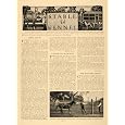 1907 Article Taming Horses Scottish Terrier Dog Breed - Original Print