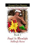 Angel In Moonlight