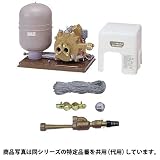 【セット】イワヤ深井戸ポンプ JPS-256-60 [60hz用/単相100V/出力250W] ×数量１個 と 砲金ジェット4J18B3(吸上高さ18m用) ×数量１個のセット