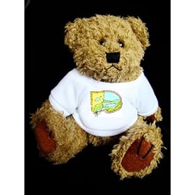 Teddy Bear with map, alkali, playa t-shirt