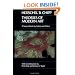 Theories of Modern Art: A Source Book by Artists and Critics (California Studies in the History of Art)