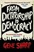 From Dictatorship to Democracy