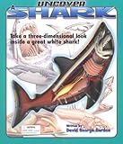 Uncover a Shark: An Uncover It Book (Uncover Books)