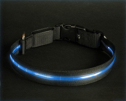 Halsband Leuchthalsband Hundehalsband M blau