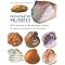 Freshwater Mussels of North America
