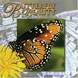 Butterfly Beauty