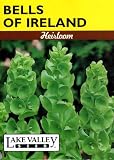 Lake Valley 1844 Bells Of Ireland Heirloom Seed Packet