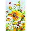 Lady Bug Retreat 1000pc Jigsaw Puzzle by Greg & Co