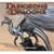 Dungeons & Dragons 2009 Calendar