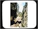 Decorated Mouse Pad with Europe, narrow, nobody, daylight, rocks, day, rocky, steep, cliffs, formation, outside, ravine, canyon, outdoors, crevasse, daytime, Croatia, rugged, nature, boulders