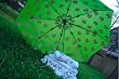 Alpha Kappa Alpha Mini-Umbrella - Green