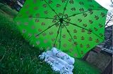 Alpha Kappa Alpha Mini-Umbrella - Green