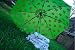 Alpha Kappa Alpha Mini-Umbrella - Green