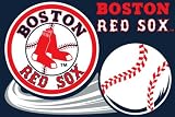 Boston Red Sox Door Mat Rug 20x30
