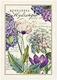 Michel Design Works Kitchen Towel, Hydrangea