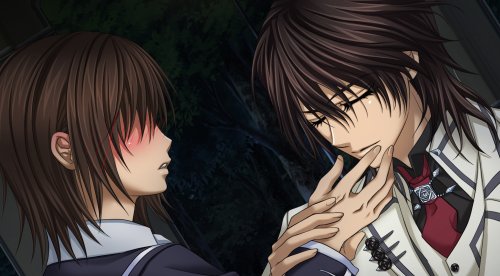 Cover image : ヴァンパイア騎士DS(限定版) 特典 シチュエーションボイスCD付き