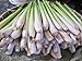 Yours Kitchen Organic Dried Thai Lemongrass From My Farm (3.5 Ounce)
